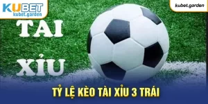 Tài Xỉu 3 Trái