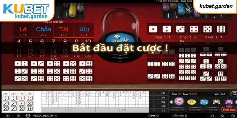 Kinh nghiệm chơi tài xỉu Kubet